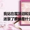 我站在屋頂淚和霓虹迷蒙了眼睛歌詞（我站在屋頂淚和霓虹迷蒙了眼睛是什么歌）