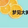夢見大黃貓咬自己（夢見大黃貓）