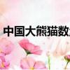 中國大熊貓數量變化趨勢（中國大熊貓數量）