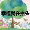 幸福就在抬頭間（關于幸福就在抬頭間介紹）