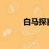 白馬探喜歡誰?（白馬探喜歡誰）