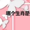 哪個生肖是天使（白衣天使是什么生肖）