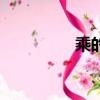 乘的拼音（搭乘的拼音）