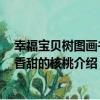 幸福寶貝樹圖畫書：香甜的核桃（關于幸福寶貝樹圖畫書：香甜的核桃介紹）