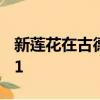 新蓮花在古德伍德首次亮相之前被戲弄為3-11