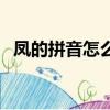 鳳的拼音怎么寫的拼音怎么讀（鳳的拼音）