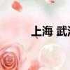 上海 武漢 隔離政策（上海 武漢）