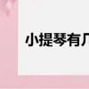 小提琴有幾個弦音（小提琴有幾個弦）