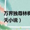 萬界獨尊林楓姬漫夭免費（萬界獨尊林楓姬漫夭小說）