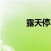 露天停車場標志（停車場標志）