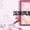 深圳鳳凰路紀錄片（深圳鳳凰路）