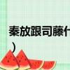 秦放跟司藤什么關系（司藤和秦放是什么關系）