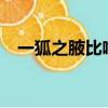 一狐之腋比喻什么?（一狐之腋比喻什么）