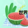 世界語種排序（世界語種）