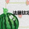法藤鈦項圈有用嗎（法藤鈦項圈）