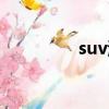 suv測評視頻（suv測評）