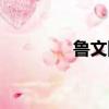 魯文網設計圖紙（魯文網）