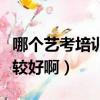 哪個藝考培訓比較好啊武漢（哪個藝考培訓比較好啊）