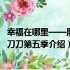 幸福在哪里——朋友刀刀第五季（關于幸福在哪里——朋友刀刀第五季介紹）