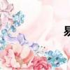 易美網頁（易美網）