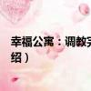 幸福公寓：調教完美總裁（關于幸福公寓：調教完美總裁介紹）
