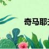 奇馬耶夫VS霍蘭德（奇馬耶夫）