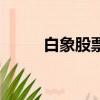 白象股票代碼是多少（白象股票）