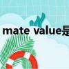 mate value是什么意思（value是什么意思）