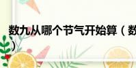 數九從哪個節氣開始算(數九從哪個節氣開始)