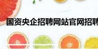 國資央企招聘網站官網招聘(國資委招聘)