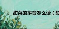 甜菜的拼音怎么讀(甜菜的拼音)
