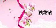 獨龍鉆