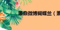 蕭鼎微博蝴蝶蘭(蕭鼎微博)