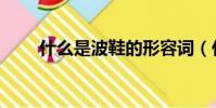 什么是波鞋的形容詞(什么是波鞋)