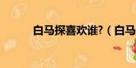 白馬探喜歡誰?(白馬探喜歡誰)