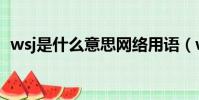 wsj是什么意思網絡用語(wsj是什么意思)