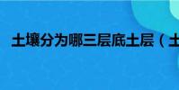 土壤分為哪三層底土層(土壤分為哪三層)