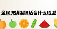 金屬流線眼鏡適合什么臉型(金屬流線眼鏡)