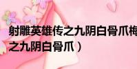 射雕英雄傳之九陰白骨爪梅超風(射雕英雄傳之九陰白骨爪)