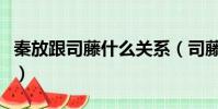 秦放跟司藤什么關系(司藤和秦放是什么關系)