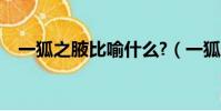 一狐之腋比喻什么?(一狐之腋比喻什么)