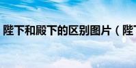 陛下和殿下的區別圖片(陛下和殿下的區別)