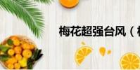 梅花超強臺風(梅風)
