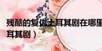 殘酷的復仇土耳其劇在哪里看(殘酷的復仇土耳其劇)