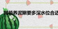 網箱養泥鰍要多深水位合適(網箱養泥鰍)