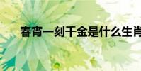 春宵一刻千金是什么生肖(春宵一刻)