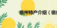 宿州特產介紹(宿州特產)