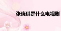 張曉琪是什么電視劇(張曉琪)