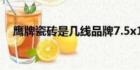 鷹牌瓷磚是幾線品牌7.5x150多少錢一張