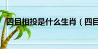 四目相投是什么生肖(四目相對打一生肖)